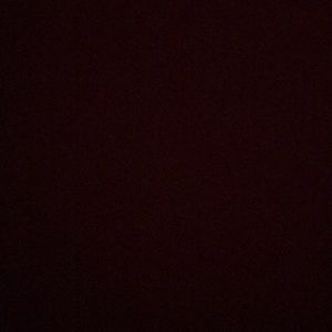 Meet your Posher, Nechemia